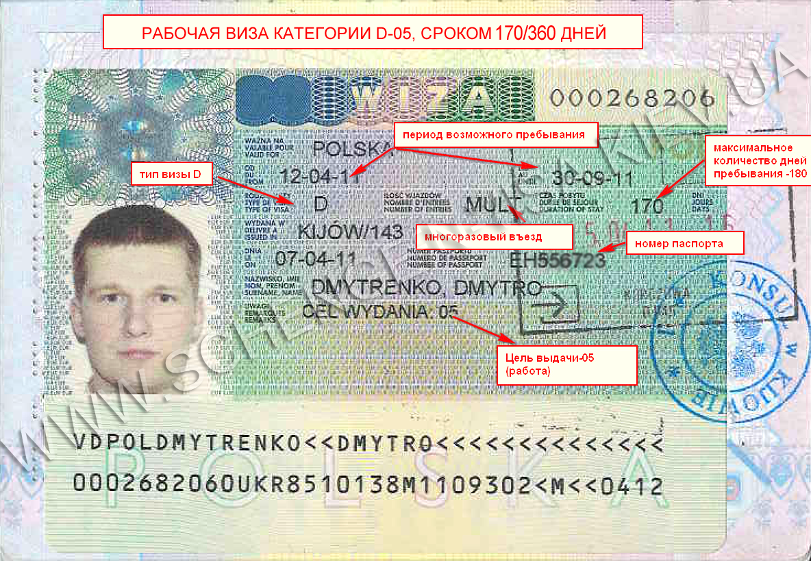 Максимальный срок визы. Польская шенгенская виза. Польская виза шенген. Польская рабочая виза. Рабочая шенгенская виза.