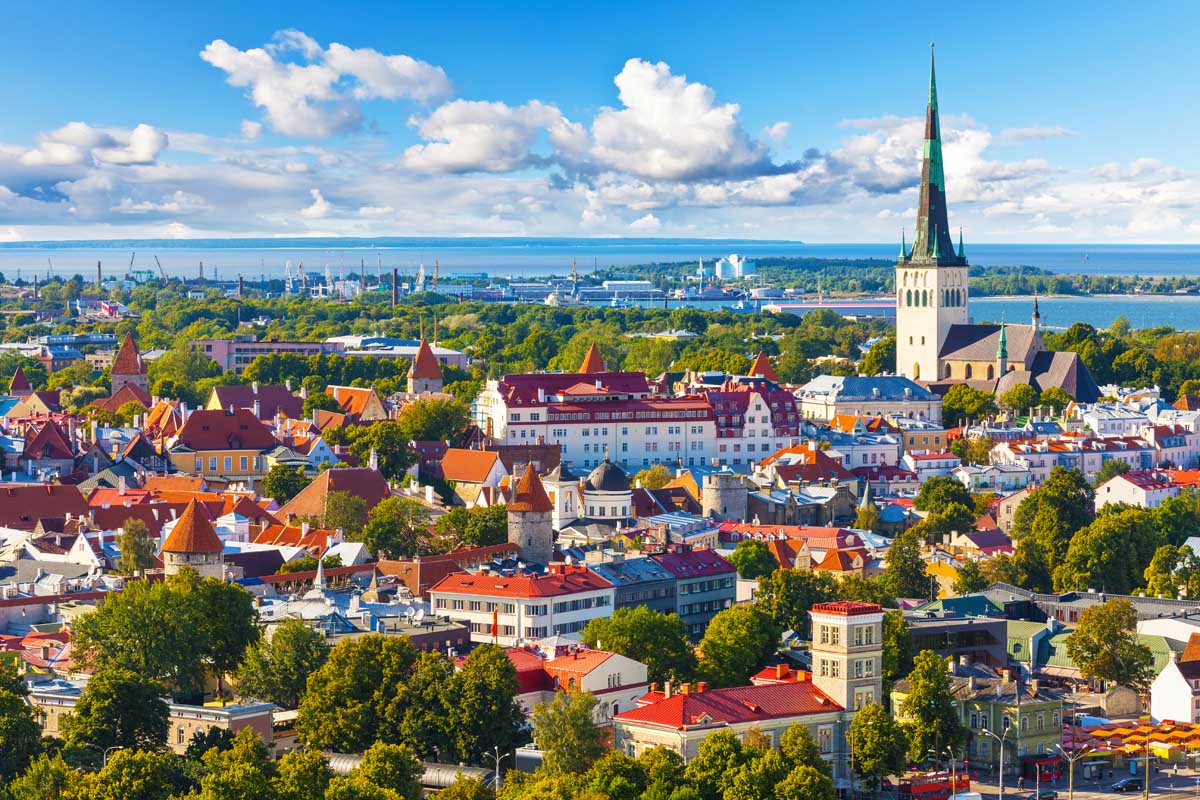 Виза в Таллин: виды, документы и нюансы по получению визы
